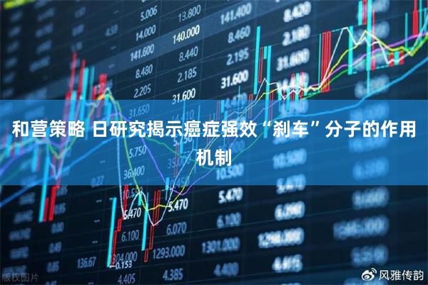 和营策略 日研究揭示癌症强效“刹车”分子的作用机制