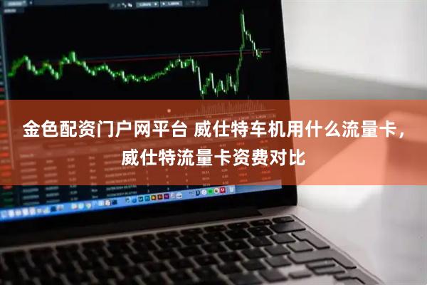 金色配资门户网平台 威仕特车机用什么流量卡，威仕特流量卡资费对比