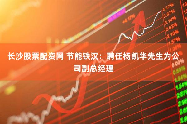 长沙股票配资网 节能铁汉：聘任杨凯华先生为公司副总经理
